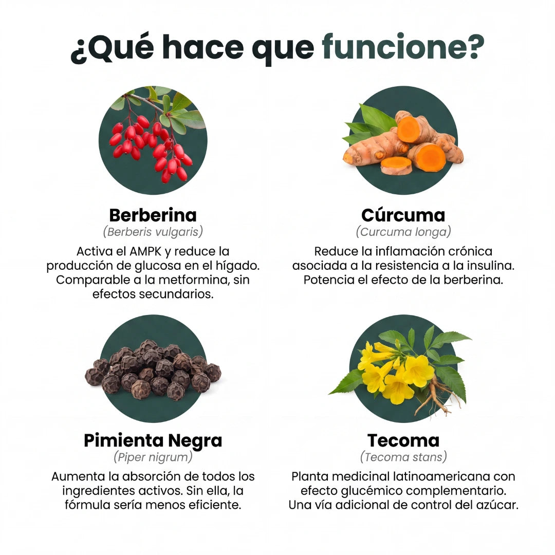 Glucera™ — Control Natural del Azúcar
