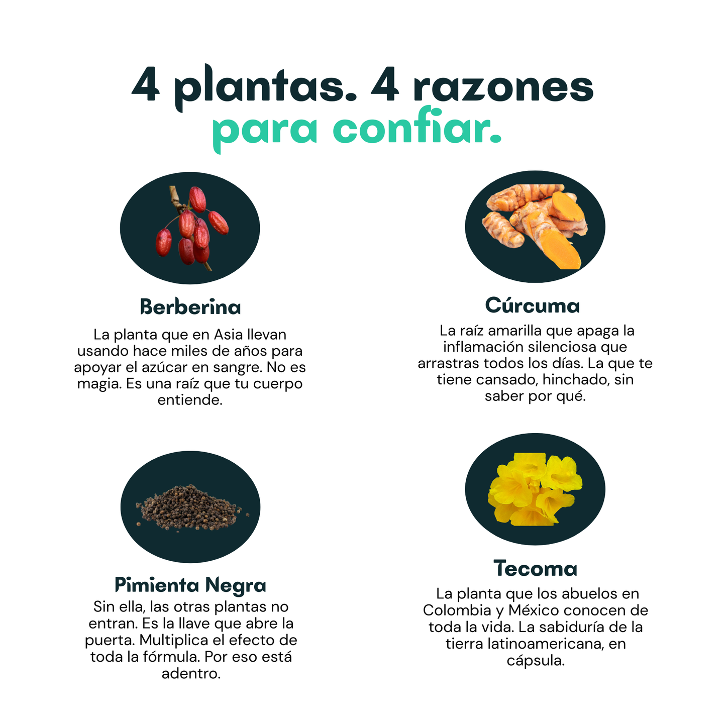 Glucera™ | Control Natural del Azúcar