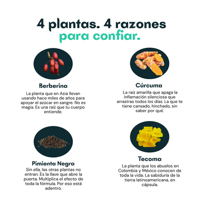 Glucera™ | Control Natural del Azúcar